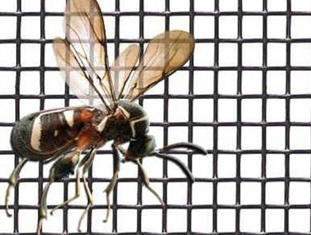 Anti Insect Mesh
