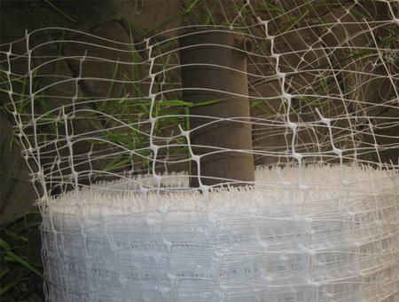 Plant Support Net